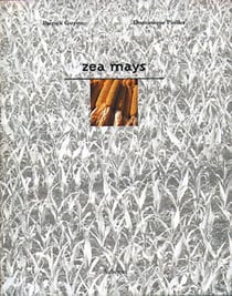 Zea mays
