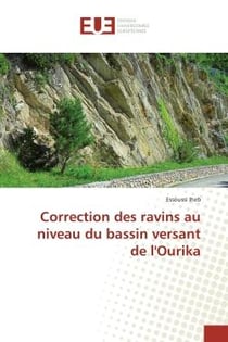 Correction des ravins au niveau du bassin versant de l'Ourika