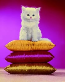 Chromotherapia : Feel-Good Color Photography