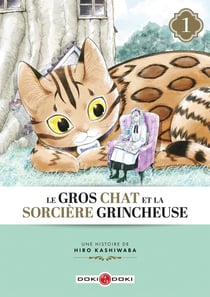 Le gros chat et la sorciere grincheuse Tome 1 : le gros chat et la sorciere grincheuse