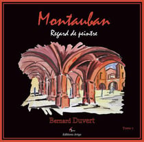 Montauban - regard de peintre t.1