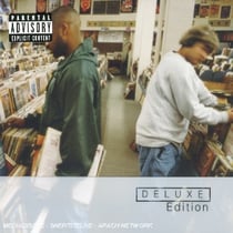 Endtroducing - édition deluxe