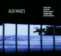 Aux mages