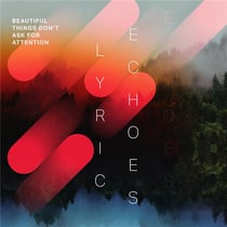 Beautiful things don't ask for attention - Lyric Echoes