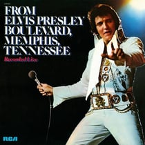 From Elvis Presley Boulevard Memphis - édition limitée colorée