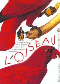 L'oiseau vivant ou reve, peint ou sculpte, observe et identifie, a aimer et a proteger