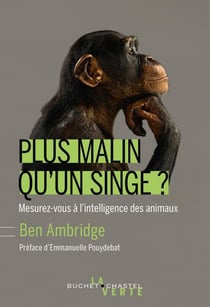 Plus malin qu'un singe ? mesurez-vous à l'intelligence incroyable des animaux