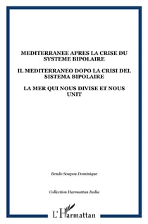 La méditerranée après la crise du système bipolaire - la mer qui nous divise et nous unit