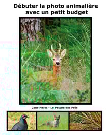 Débuter la photo animalière avec un petit budget