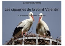 Les cigognes de la Saint Valentin : Chroniques poétiques illustrées