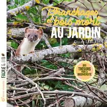 Branchages et bois morts au jardin : des trésors pour la biodiversité