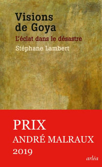 Visions de Goya - l'éclat dans le désastre