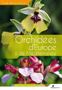 Guide découverte des orchidées d'europe & de méditerranée