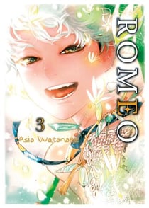 D.S.P. Romeo Tome 3