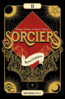 Sorciers Tome 2 : terres oubliées