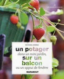 Un potager dans un mini-jardin sur un balcon ou un appui de fenêtre