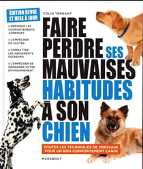 Faire perdre ses mauvaises habitudes à son chien
