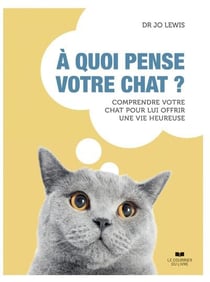 À quoi pensé votre chat ?
