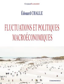 FLUCTUATIONS ET POLITIQUES MACROECONOMIQUES