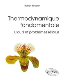 Thermodynamique fondamentale