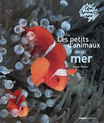 Les qui sommes-nous ? les petits d'animaux de la mer