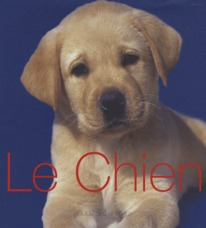 Le chien