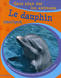 Gros plan sur les animaux 27. le dauphin intelligent