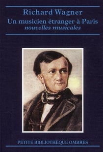 Un musicien étranger à Paris et autres nouvelles - une esquisse autobiographique