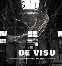 : de visu lieux d experimentations des arts plastiques
