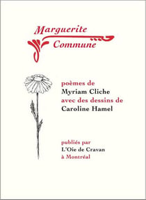 Marguerite commune