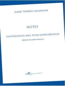 Notes - conversation avec Peter Downsbrough