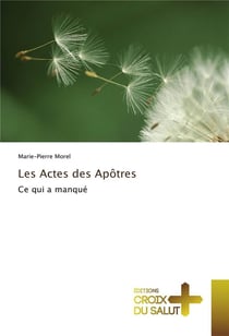 Les actes des apôtres - ce qui a manqué