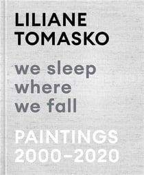 Liliane tomasko we sleep where we fall paintings 2000 - 2020