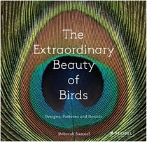 Deborah samuel the extraordinary beauty of birds: designs, patterns and details