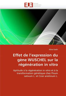 Effet de l'expression du gene wuschel sur la regeneration in vitro