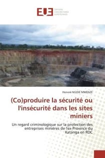 (Co)produire la sécurité ou l'insécurité dans les sites miniers : Un regard criminologique sur la protection des entreprises minières de l'ex-Province du Katanga