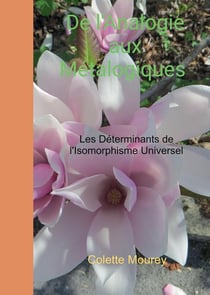 De l'analogie aux métalogiques : les déterminants de l'isomorphisme universel