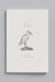 Carnet animal aquatique - aigrette garzette