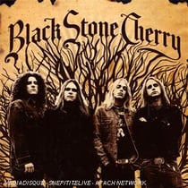 Black Stone Cherry