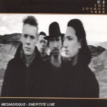 The joshua tree