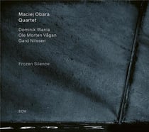 Frozen Silence
