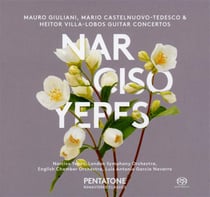Guitar concertos