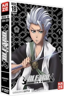 Bleach - Saison 4 : Box 18 : Karakura's Battle, Part 2