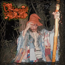 The Wizard In The Field