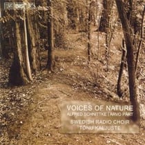 Voices of nature
