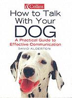 How to Talk to Your Dog