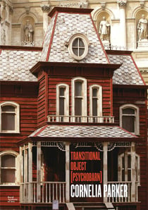 Cornelia parker transitional object
