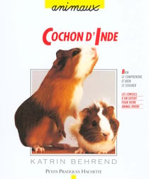 Le cochon d'inde