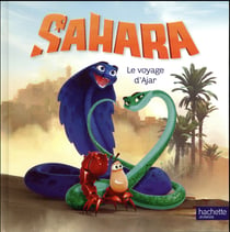 Sahara - le voyage d'ajar