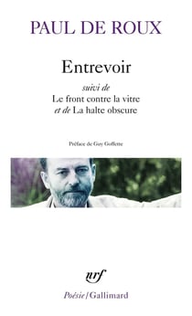 Entrevoir / Le front contre la vitre / La halte obscure